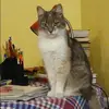 Отзыв от Ева Рубцова